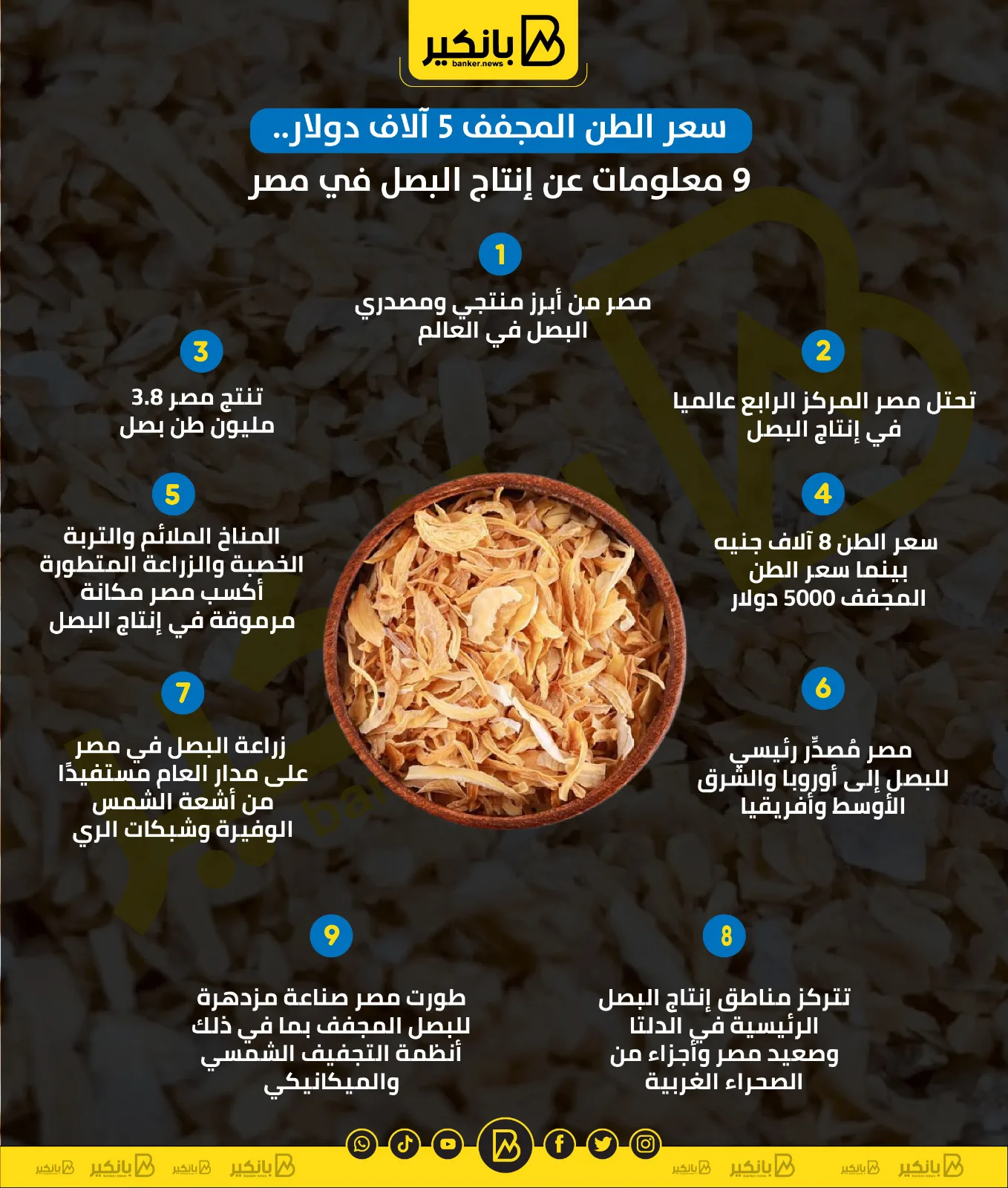 سعر الطن المجفف يصل إلى 5 آلاف دولار: 9 حقائق حول زراعة البصل في مصر | إنفوجراف سعر الطن المجفف يصل إلى 5 آلاف دولار: 9 حقائق حول زراعة البصل في مصر | إنفوجراف