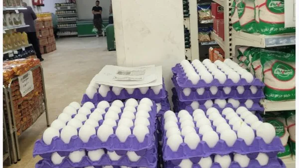 سعر طبق البيض 120 جنيها.. التموين تواصل توفير السلع بأسعار مخفضة