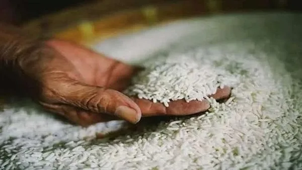 أسعار الأرز بتاريخ الاثنين 26 مايو 2025 أسعار الأرز بتاريخ الاثنين 26 مايو 2025