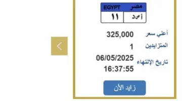 سعرها 325 ألف جنيه.. خطوات التزايد على لوحة سيارة مميزة