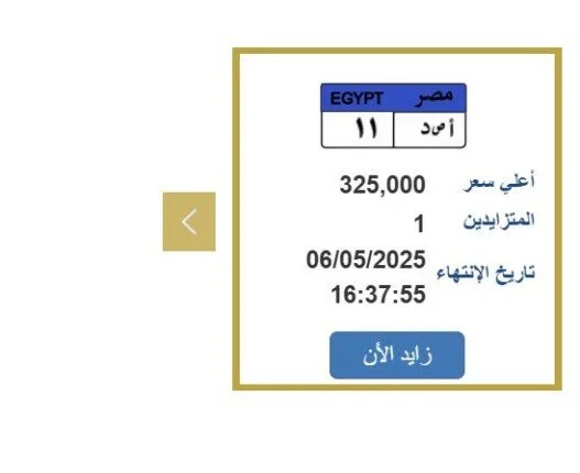 سعرها 325 ألف جنيه.. خطوات التزايد على لوحة سيارة مميزة