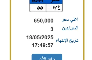 سعرها 650 ألف جنيه.. ثلاثة متنافسين على لوحة سيارة فريدة.