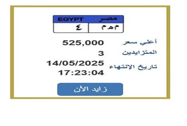 سعرها بلغ 525 ألف جنيه.. معركة حامية على لوحة سيارة فريدة