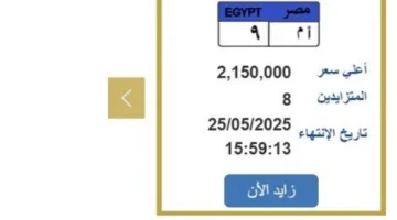 سعرها تجاوز 2 مليون جنيه.. منافسة مثيرة على لوحة سيارة فريدة