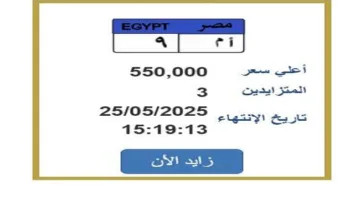 سعرها تجاوز 500 ألف جنيه.. الطلب يتزايد على لوحة سيارة فريدة | تعرف على الإجراءات