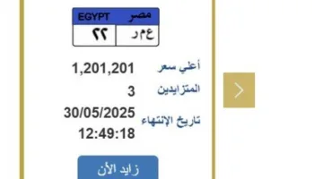 سعرها تجاوز المليون جنيه… الإقبال على لوحة سيارة فريدة | تعرف على الخطوات