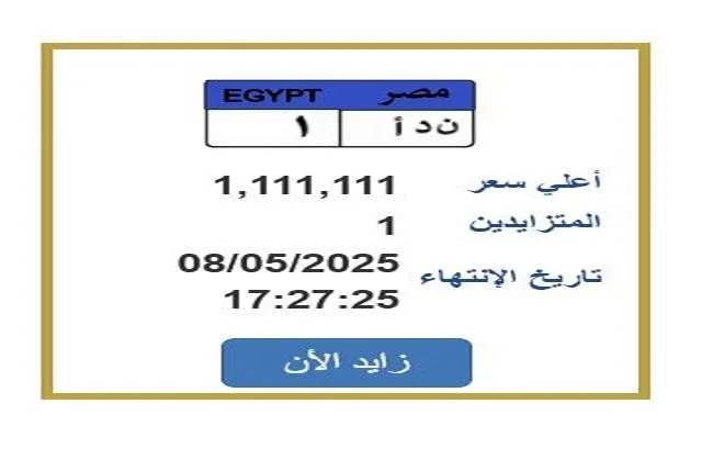 سعرها تخطى مليون جنيه.. خطوات التزايد على لوحة سيارة مميزة