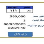 سعرها تخطى نصف مليون جنيه.. المزايدة على لوحة سيارة مميزة