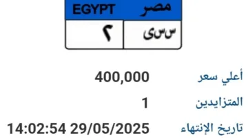 سعرها وصل إلى 400 ألف جنيه.. عرض لوحة سيارة فريدة (س س ي- 2) للمزاد