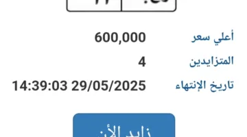 سعرها وصل إلى 600 ألف جنيه.. مزاد على لوحة سيارة فريدة (ر ج ب- 11)
