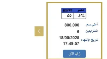سعرها يلامس المليون جنيه.. المنافسة على لوحة سيارة فريدة تنتهي قريباً
