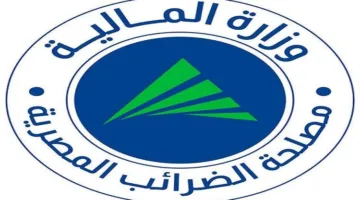 سعيد فؤاد: التشريعات الجديدة للإعفاءات الضريبية تهدف إلى تفادي مشاكل الممولين