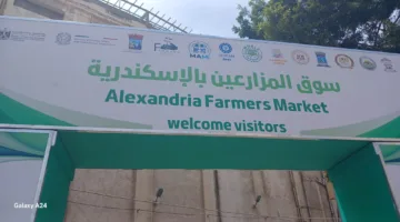 سفيرة الاتحاد الأوروبي تتفقد سوق المزارعين في الإسكندرية