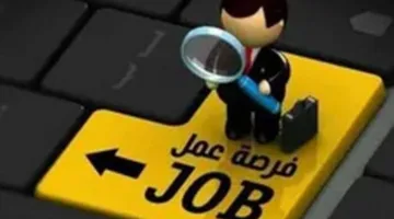 «سنوفر لك فرص عمل في الخارج».. نصيحة «مستريح الفيوم» لجذب ضحاياه