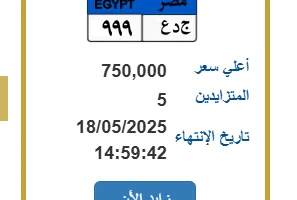 سيارة تحمل لوحة فريدة برقم “ج د ع – 999” تحقق سعر 750 ألف جنيه من 5 متنافسين