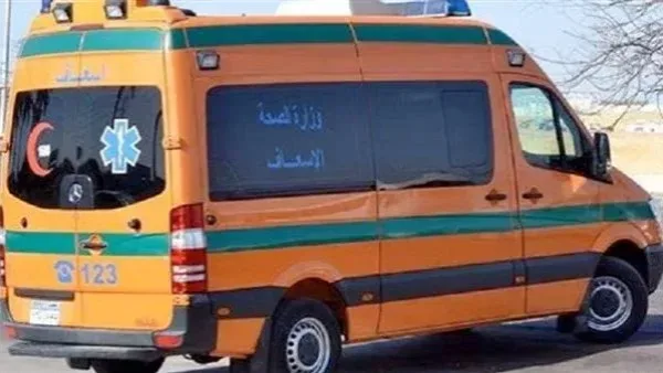 سيارة مسرعة تطيح بشخص أثناء عبوره الطريق بالشيخ زايد