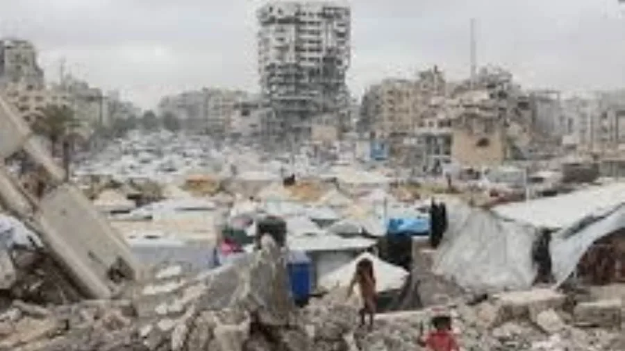 سياسيون: مصر قامت بدور تاريخي في التوصل إلى «وقف إطلاق النار» في غزة.. ورؤيتها هي الطريق الوحيد لتحقيق استقرار المنطقة.