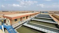 شبكات الصرف الصحي ومبادرات التنمية ومكافحة الآفات.. نشاط ملحوظ في المدن الحديثة