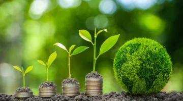 شراكة جديدة بين المغرب وأوروبا لتعزيز إدارة الغابات ومواجهة التغيرات المناخية
