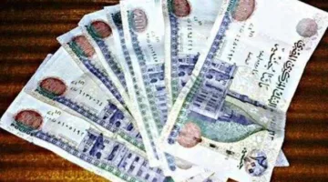 شروط ومعلومات حول الحسابات الجارية للشركات بالعملات المحلية من البنك الزراعي المصري