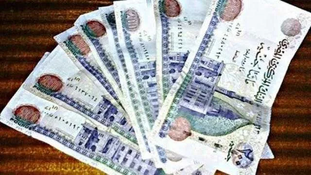 شروط ومعلومات حول الحسابات الجارية للشركات بالعملات المحلية من البنك الزراعي المصري