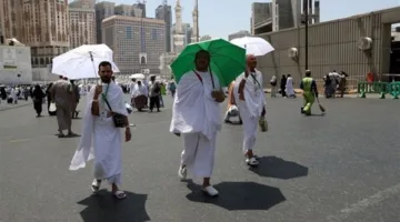 شريف لطفي: خطوات سعودية قوية لمكافحة الحج غير القانوني