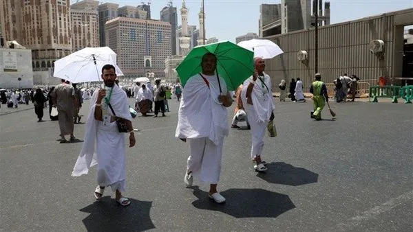 شريف لطفي: خطوات سعودية قوية لمكافحة الحج غير القانوني شريف لطفي: خطوات سعودية قوية لمكافحة الحج غير القانوني