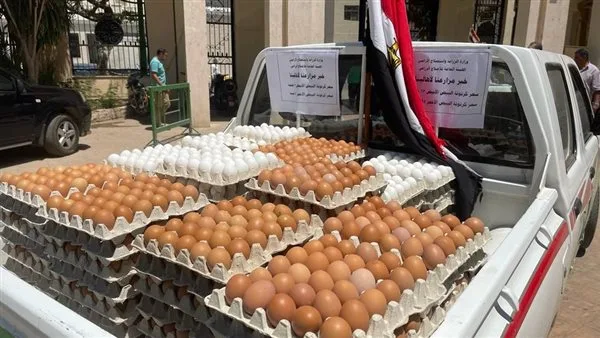 شعبة بيض المائدة: سعر الطبق داخل المزارع يصل إلى 120 جنيهًا (فيديو)