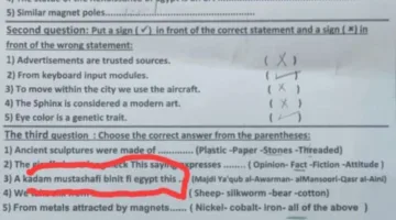 شكاوى من امتحان اللغة الإنجليزية المكتوب بـ”الفرانكو” في دمنهور ومطالب بإجراء تحقيق