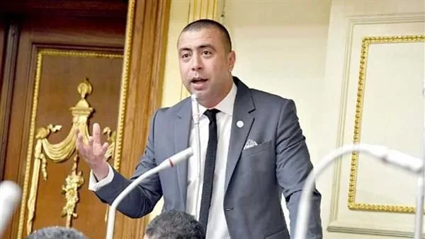 شلبي: تعديل قوانين الانتخابات يعتبر استثمارًا في مستقبل الديمقراطية والعدالة الاجتماعية شلبي: تعديل قوانين الانتخابات يعتبر استثمارًا في مستقبل الديمقراطية والعدالة الاجتماعية