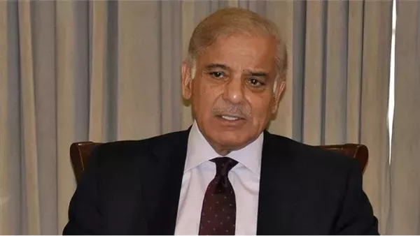 رئيس الوزراء الباكستانى: جيشنا رد بقوة ومهنية على "العدوان الهندى"
