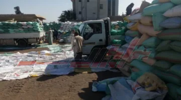 شون كفر الشيخ تستقبل 157,583 طنًا و153 كيلوغرامًا من القمح المحلي