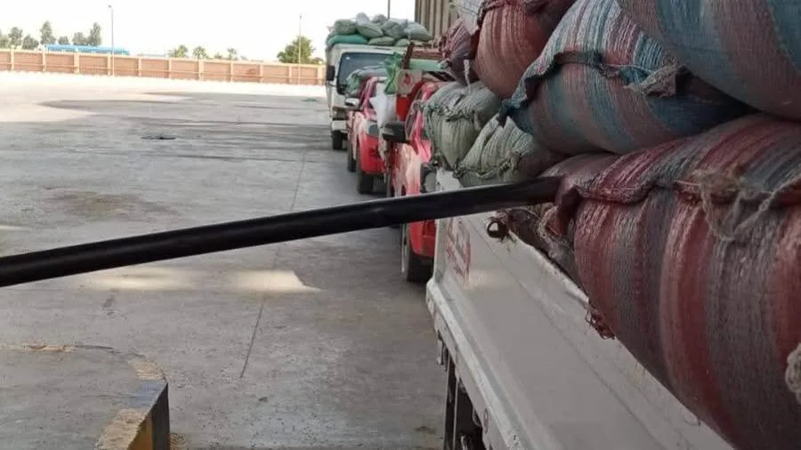 شون وصوامع المنيا تستقبل 330 ألف طن من محصول القمح شون وصوامع المنيا تستقبل 330 ألف طن من محصول القمح