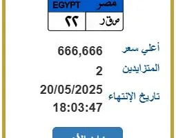 “ص ق ر – 22” يثير حماس المزاد.. رقم لوحة فريد قريب من 700 ألف جنيه