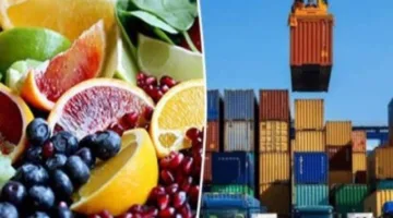 صادرات مصر تتجاوز 4.4 مليار دولار مع ارتفاعها في فبراير 2025