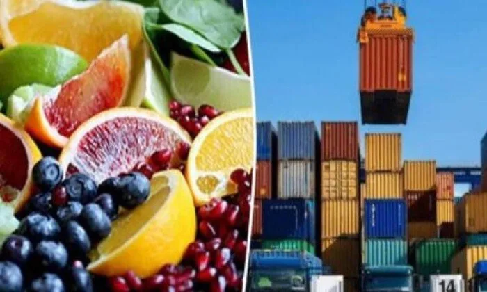 صادرات مصر تتجاوز 4.4 مليار دولار مع ارتفاعها في فبراير 2025 صادرات مصر تتجاوز 4.4 مليار دولار مع ارتفاعها في فبراير 2025