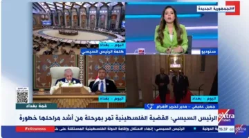 صحفي: الرئيس السيسي حث الجميع على تحمل مسؤولياتهم خلال قمة بغداد