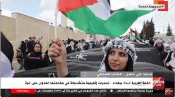 صحفي: القضية الفلسطينية تظل أساسية لمصر