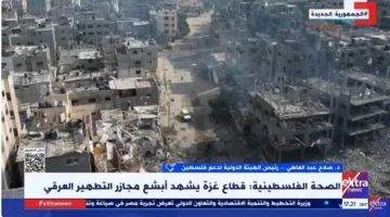 صلاح عبد العاطي: نتطلع إلى قرار قوي خلال قمة بغداد لإنهاء معاناة غزة