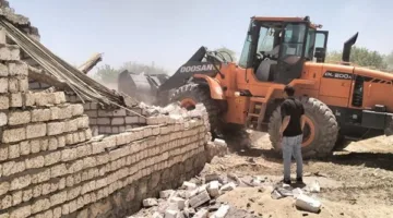 صور: إزالة 42 حالة تعدٍ على الأراضي الزراعية في جنوب الأقصر