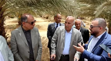 صور: محافظ المنيا يؤكد على التوسع في عدد من المشاريع خلال الفترة المقبلة.