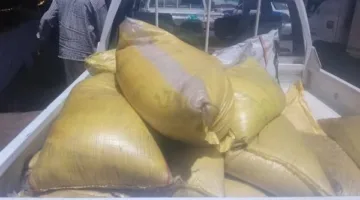 صور: مصادرة 650 كيلو من الأرز منتهي الصلاحية قبل طرحه في أسواق الأقصر