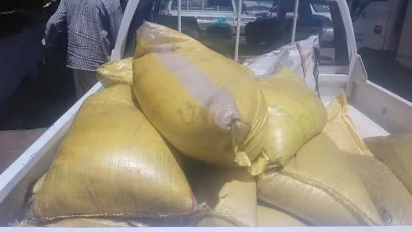 صور: مصادرة 650 كيلو من الأرز منتهي الصلاحية قبل طرحه في أسواق الأقصر صور: مصادرة 650 كيلو من الأرز منتهي الصلاحية قبل طرحه في أسواق الأقصر