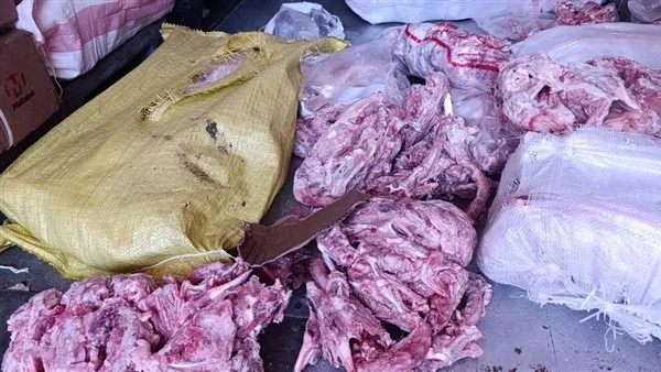 ضبط 10 أطنان هياكل دواجن مجهولة المصدر داخل حاويات بجوار مصنع لحوم بالخانكة