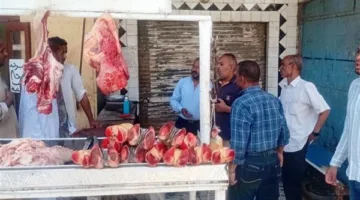 ضبط 19 مخالفة وإتلاف كميات من اللحوم والدواجن الفاسدة في أسوان