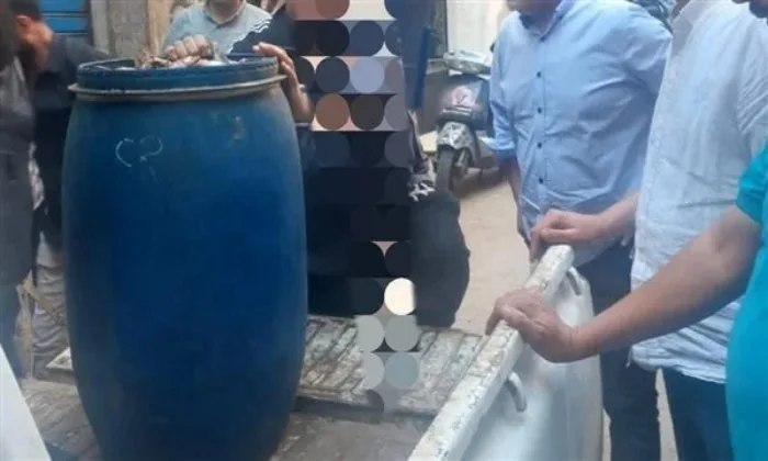 ضبط 200 كيلوغرام من الأسماك المملحة غير صالحة للاستهلاك البشري في المنوفية ضبط 200 كيلوغرام من الأسماك المملحة غير صالحة للاستهلاك البشري في المنوفية