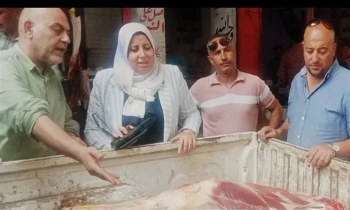 ضبط 250 كيلو من اللحوم والدواجن غير الصالحة للاستهلاك في المنوفية ضبط 250 كيلو من اللحوم والدواجن غير الصالحة للاستهلاك في المنوفية