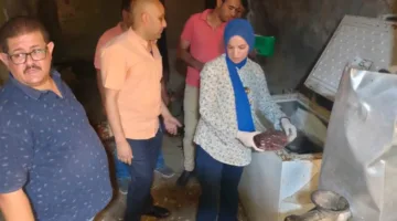 ضبط 5 أطنان من الدواجن و17 كيلوغرامًا من الكبدة واللحوم المفرومة الفاسدة في بني سويف