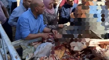 ضبط 500 كيلوغرام من اللحوم غير الآمنة للاستهلاك في المنوفية