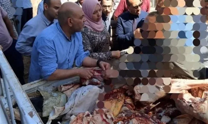 ضبط 500 كيلوغرام من اللحوم غير الآمنة للاستهلاك في المنوفية ضبط 500 كيلوغرام من اللحوم غير الآمنة للاستهلاك في المنوفية